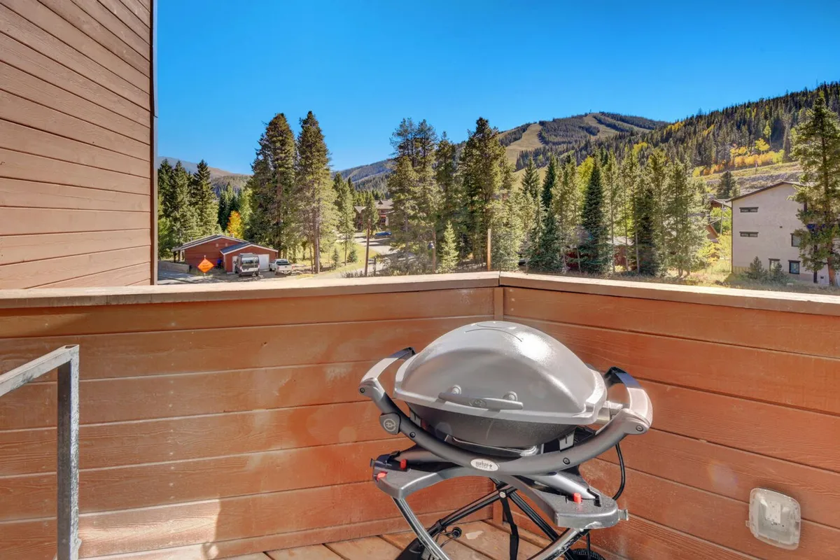 This exterior shot focuses on a private patio with a grill, overlooking a beautiful mountain view framed by pine trees. The scene suggests a tranquil spot for morning coffee or evening stories under the stars, blending outdoor enjoyment with the comfort of the interior.