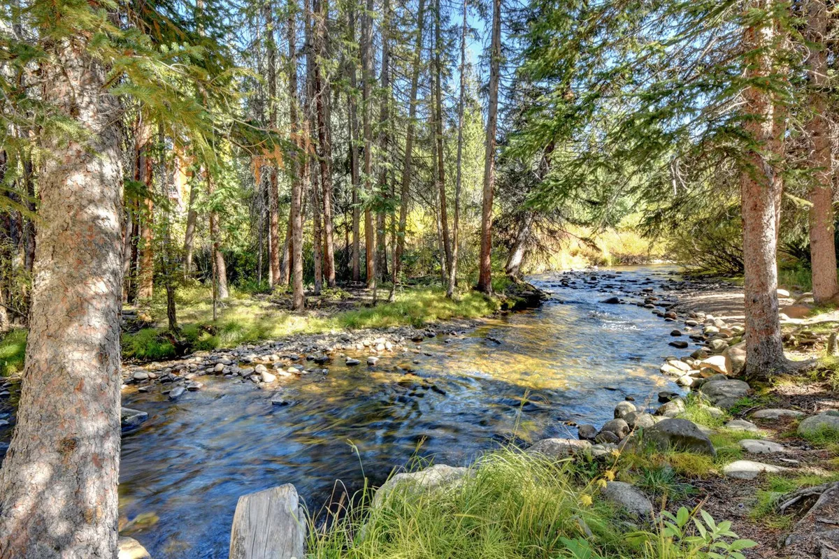 A peaceful river winds through a landscape of tall trees and a rocky riverbank. The setting invites exploration and connection with nature, evoking feelings of tranquility and outdoor adventure.