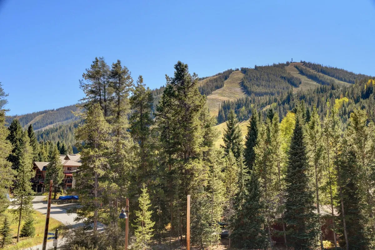 A panoramic view of mountain slopes covered in dense trees, dotted with residential buildings, evoking the natural grandeur and adventure opportunities of the Winter Park area. The scene invites thoughts of hiking, skiing, and seasonal explorations.